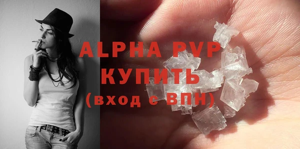 сатива Аркадак
