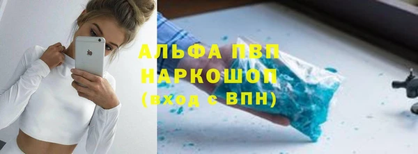 сатива Аркадак
