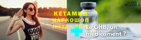 сатива Аркадак