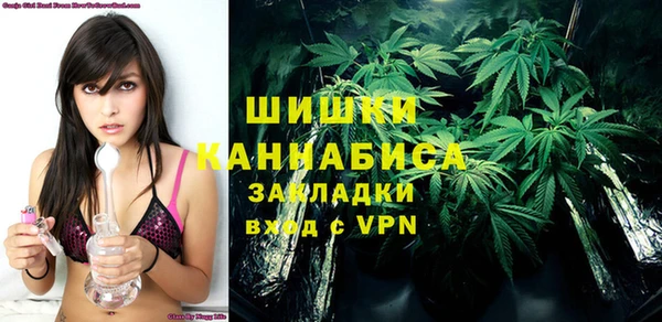 сатива Аркадак