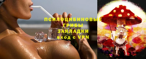 сатива Аркадак