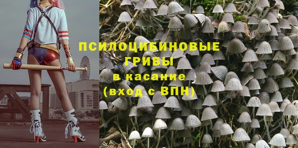 сатива Аркадак
