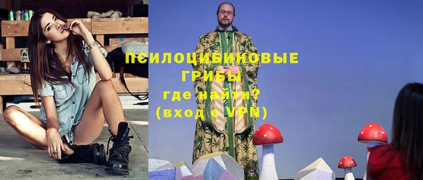 экстази Арсеньев
