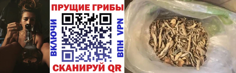 Псилоцибиновые грибы прущие грибы  Усолье 
